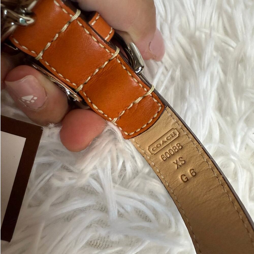 NWB y2k COACH Legacy Stripe Leather Dog Collar XS w COACH Charm Limited Ed Rare - Picture 7 of 10